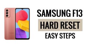 Samsung F13 하드 리셋 및 공장 초기화 방법