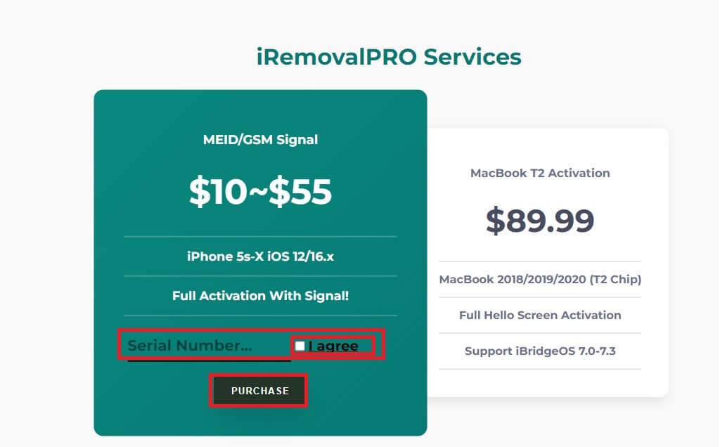 Purchase activation for iRemoval Pro Tool v6.1.1 (iRa1n v4.1) 